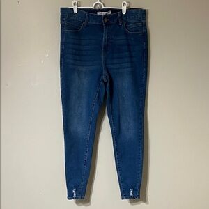 Stylish Blue Ankle Jeans